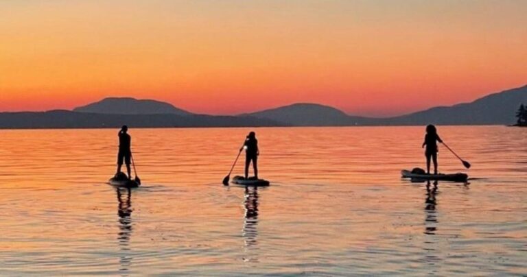 Brentwood Bay: Stand-up Paddleboard Bioluminescence Tour