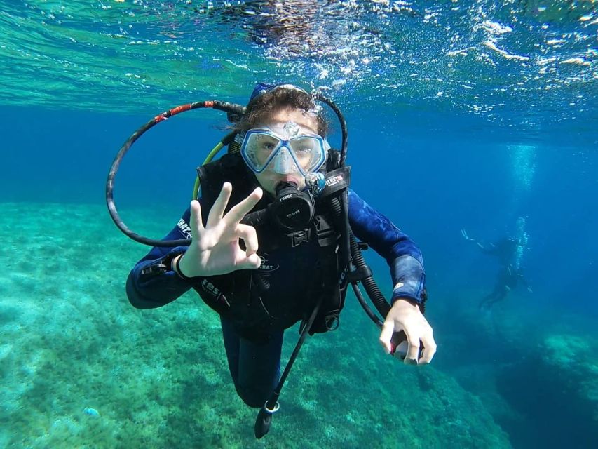 Calvi: Introduction to Diving Dive With an Instructor - Activity Highlights