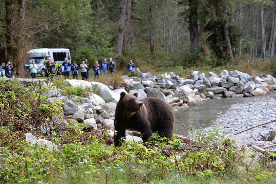 Campbell River: Grizzly Bear-Watching Tour With Lunch - Tour Details