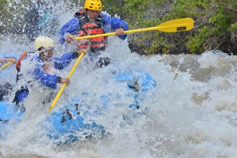 Cañon City: Half-Day Royal Gorge Whitewater Rafting Tour