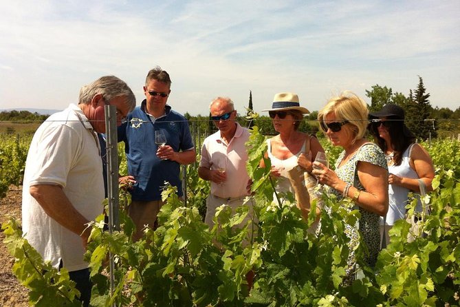 Carcassonne Private Half-Day Winery Visits and Tasting - Tour Inclusions