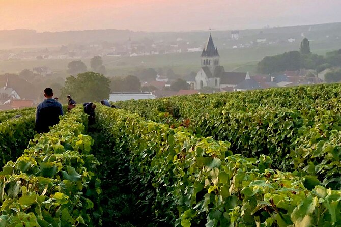 Champagne Region Small-Group Full-Day Tasting Tour From Paris - Tour Pricing Details