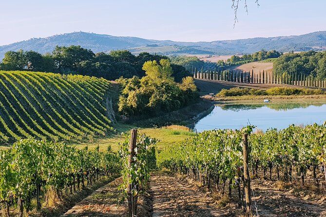 Chianti Wine Tastings at Sunset Day Trip From Florence - Tour Overview and Itinerary