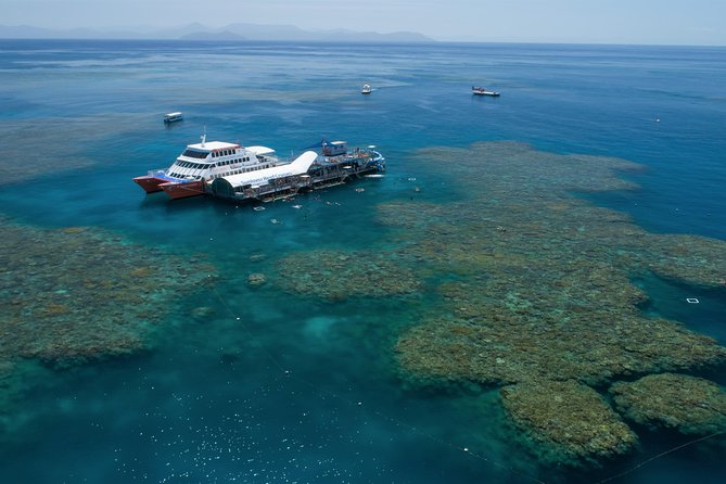 Cruise to Moore Reef Pontoon and Return Helicopter Flight From Cairns - What to Expect on the Reef