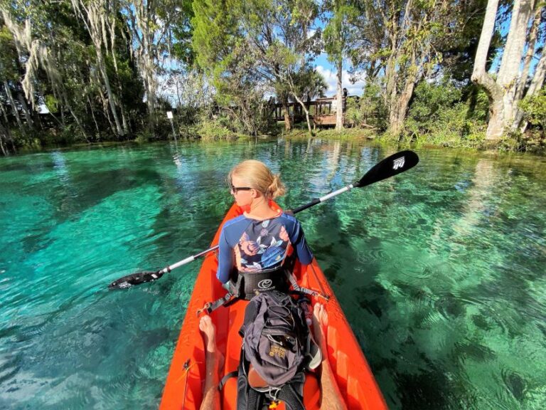 Crystal River: Three Sisters Springs Guided Kayak Tour