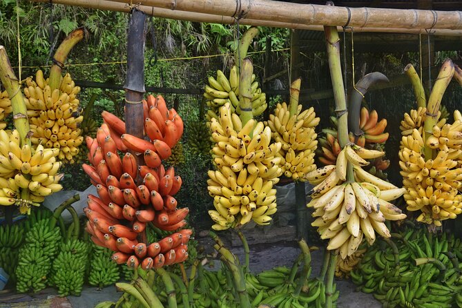 Cuenca to Guayaquil One-Way Tour With Cajas Park and a Cacao Farm Visit - Pricing and Duration