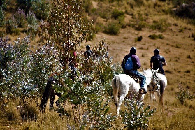 Cusco Horseback Riding Group Tour