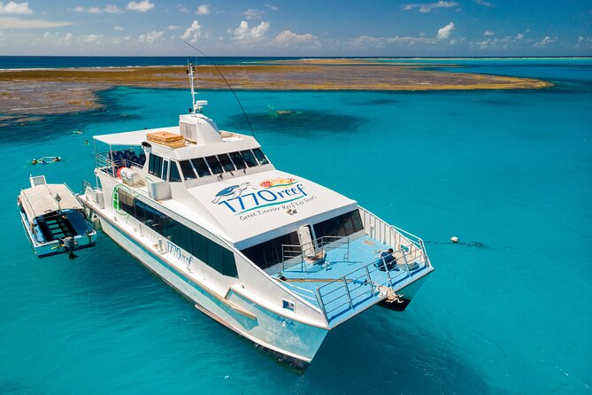 Day Tour to Lady Musgrave Island