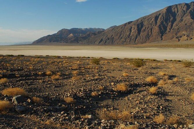 Death Valley Explorer Tour by Tour Trekker - Vehicle Experience