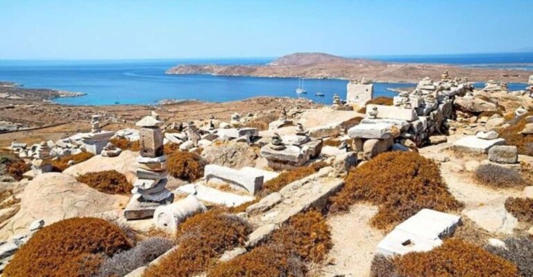 Delos and Mykonos One Day Cruise From Naxos