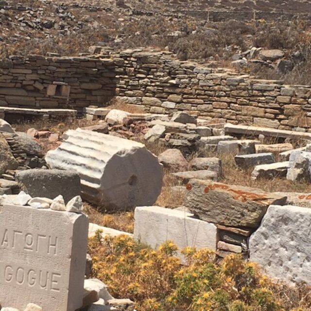 Delos Synagogue: Jewish Heritage Private Tour From Mykonos - Tour Details