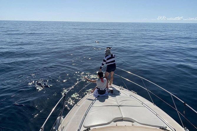 Dolphin Searching Tour in Puerto De Mogán (Keeper UNO Boat) - What To Expect