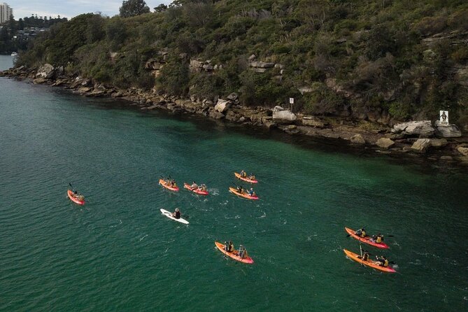 Double Kayak Hire - 4 Hours - Exploring Sydneys North Harbour