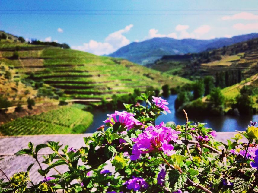 Douro Valley Full-Day Tour With Wine Tasting & Lunch - Tour Overview