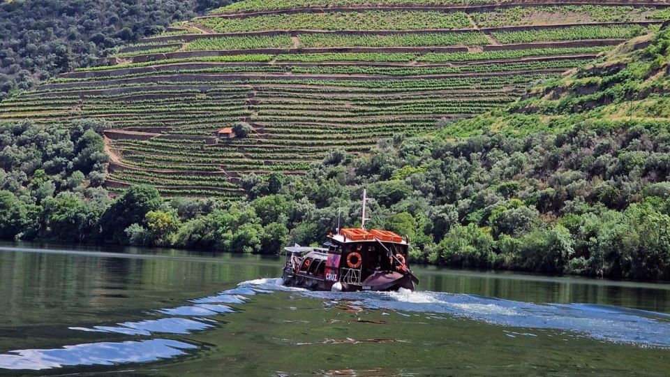Douro Valley:Expert Wine Guide,Boat, Wine, Olive Oil & Lunch - Tour Pricing and Duration