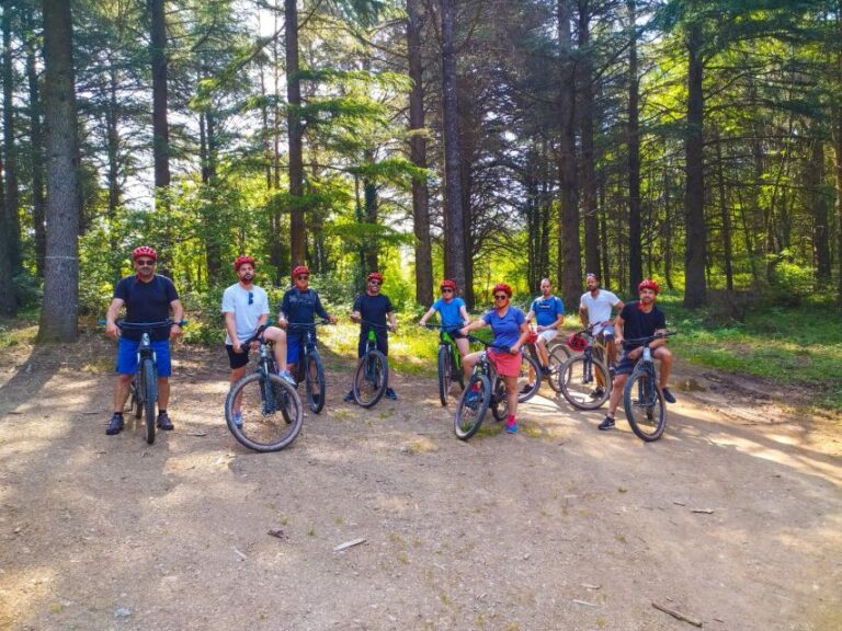 Electric Mountain Bike Day: Nature Ride for All Levels