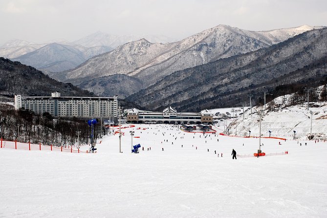 Enjoy Busan Winter at Eden Valley Resort One Day Tour - Tour Overview and Benefits