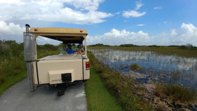 Everglades Airboat Ride & Tram Tour