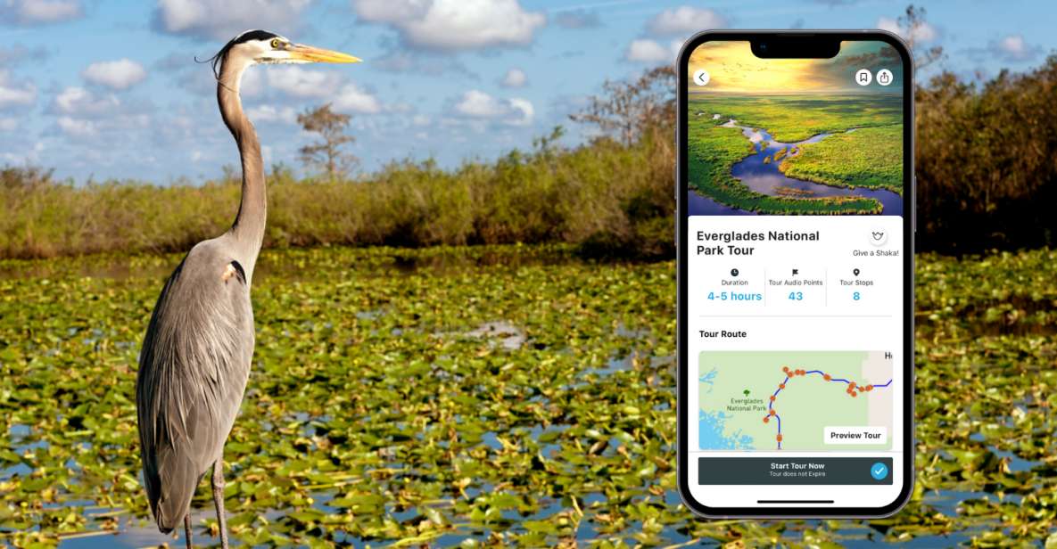 Everglades National Park: Audio Tour Guide - Location and Provider