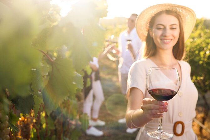 Exclusive Provence Wine Tour-Private Day for 2-3 People From Nice - Pickup and Drop-off Details
