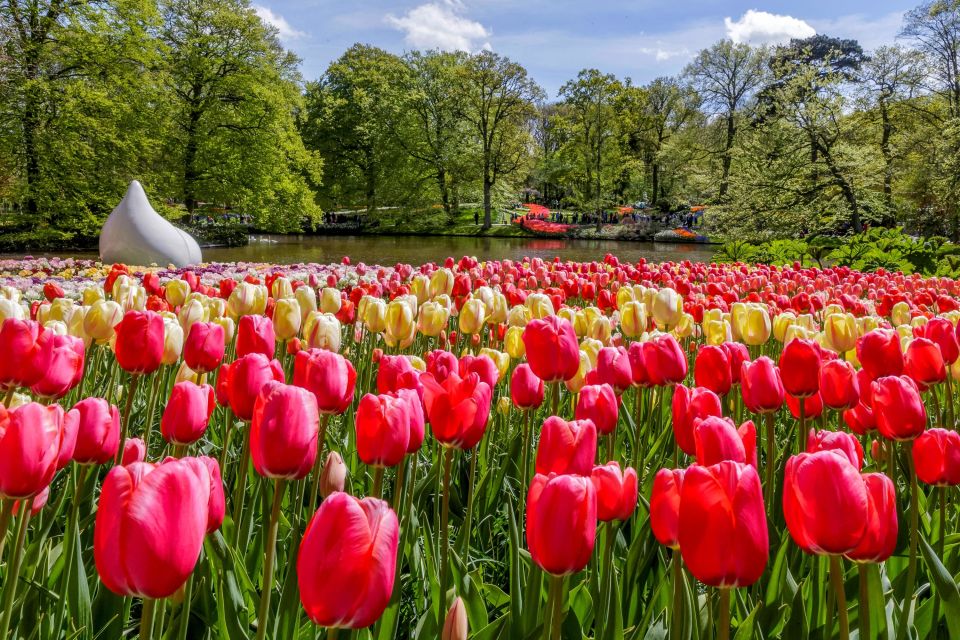 From Amsterdam: Keukenhof and Dutch Countryside Tour - Booking and Logistics