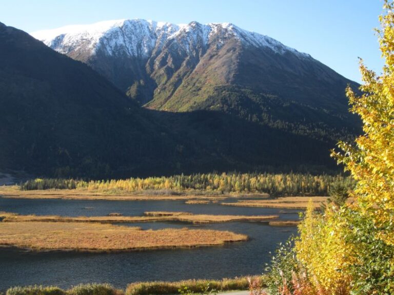 From Anchorage: Turnagain Arm and Wildlife Center Tour