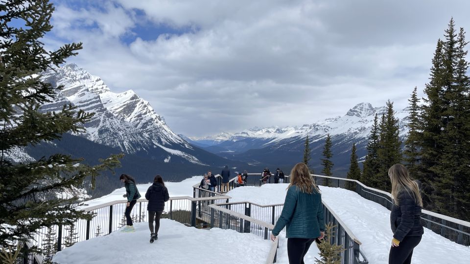 From Banff: Icefield Parkway Scenic Tour With Park Entry - Tour Details