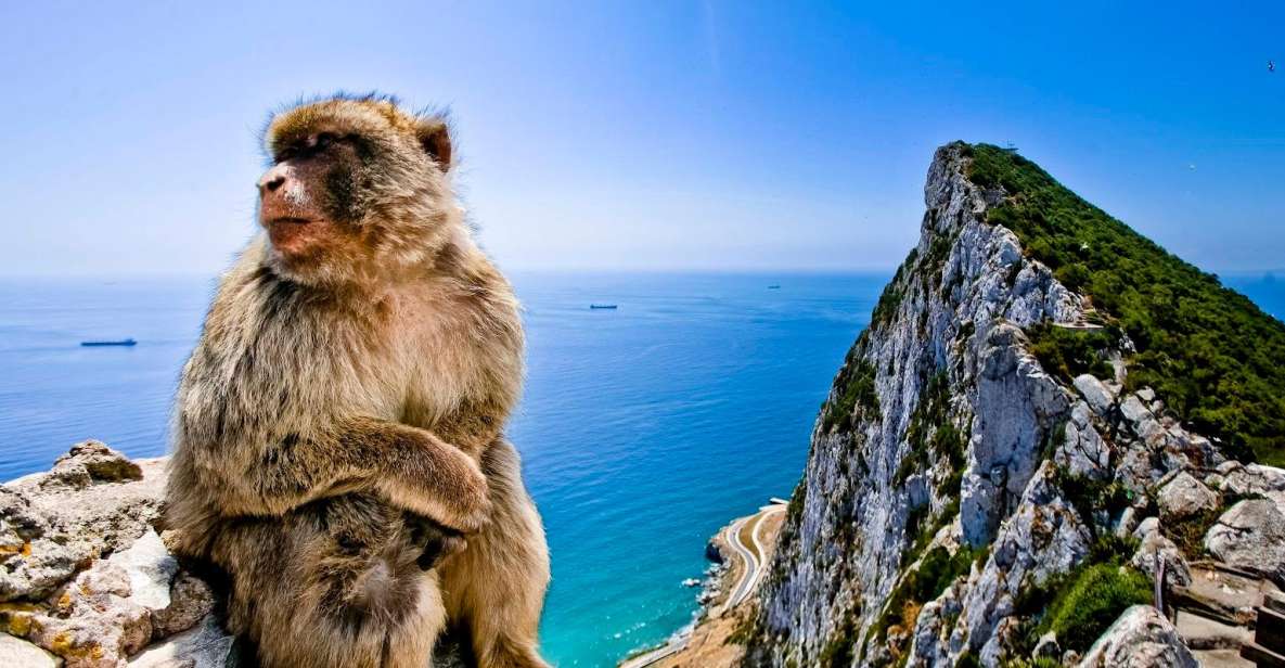 From Cádiz: Private Day Trip to Gibraltar & Vejer Tour - Tour Overview