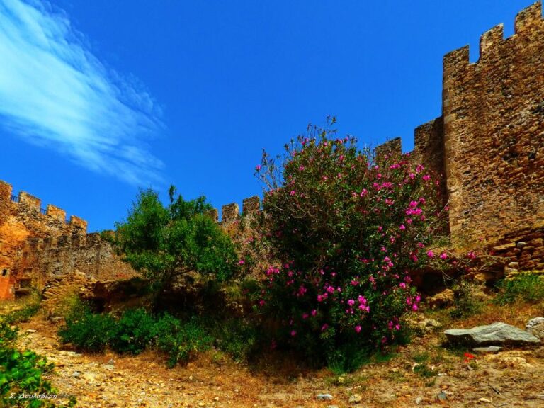 From Chania: Sfakia, Frangokastelo and Vrysses With Snacks