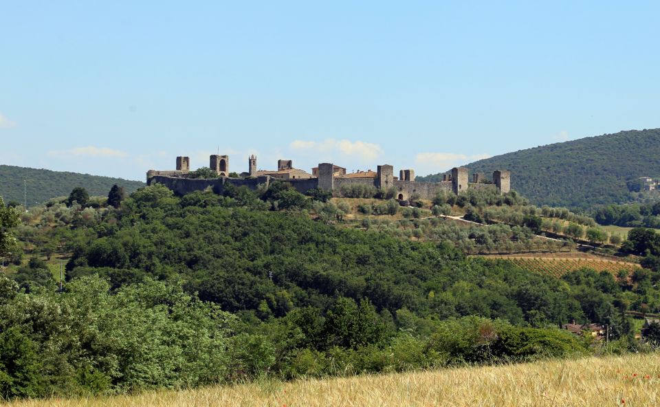 From Florence: Private Siena, San Gimignano + Wine Tasting - Tour Details