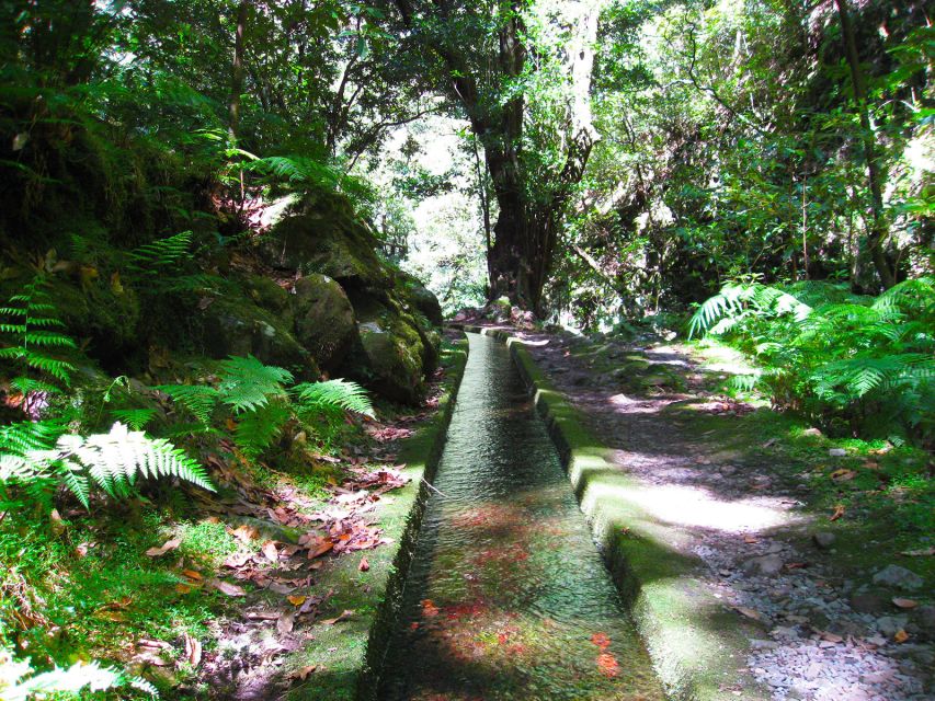 From Funchal: São Jorge Valleys Levada Walk - Provider Information and Rating