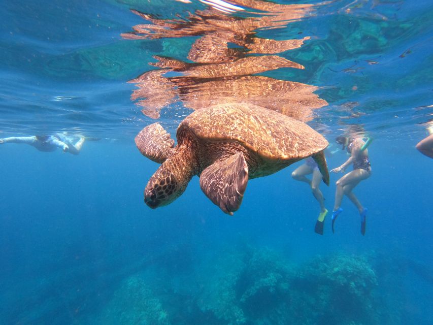 From Ka'anapali Beach: West Maui Half-Day Snorkel Adventure - Booking Details