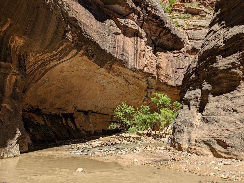 From Las Vegas: Zion National Park Small Group Adventure - Activity Details