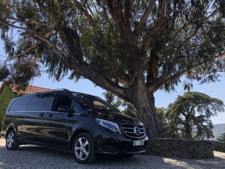 From Lisbon: 1-Way Private Transfer to Porto