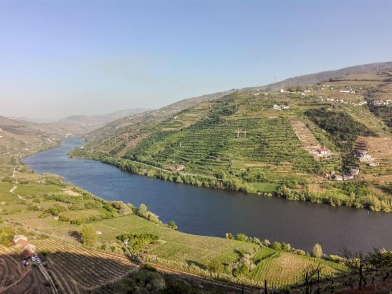 From Lisbon: Discover the Charm of Douro Valley