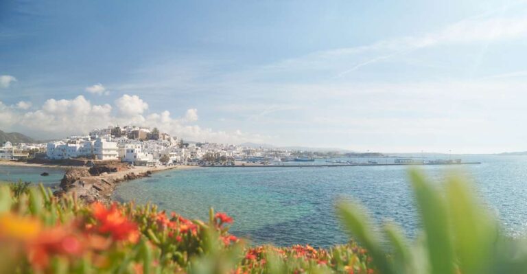 From Naxos: Delos and Mykonos Full-Day Trip by Catamaran