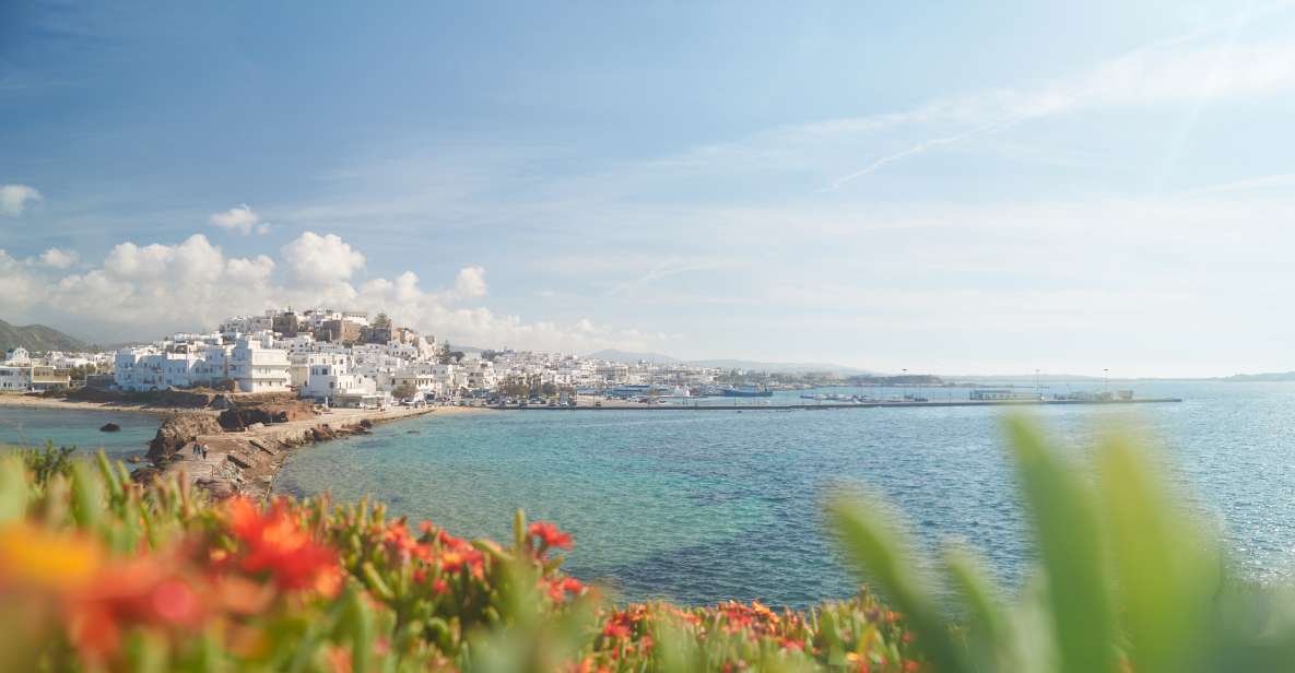 From Naxos: Delos and Mykonos Full-Day Trip by Catamaran - Activity Details
