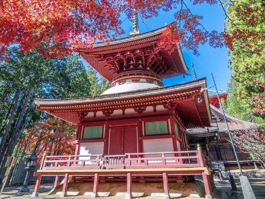 From Osaka: Mt. Koya Private Walking and Train Tour - Activity Details