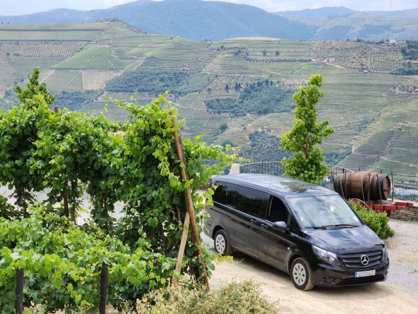 From Peso Da Régua: Visit 3 Wineries, Tasting and Viewpoint - Tour Details