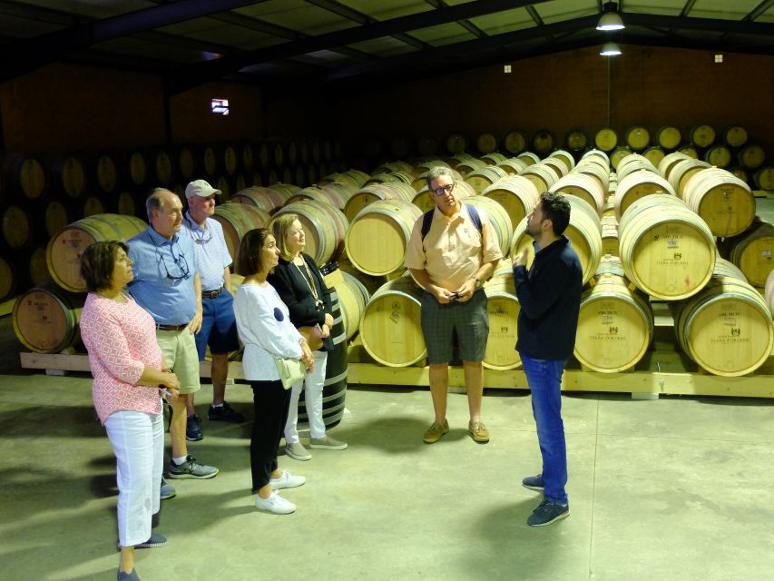 From Porto: Douro Region Private Food and Wine Day Tour - Tour Details
