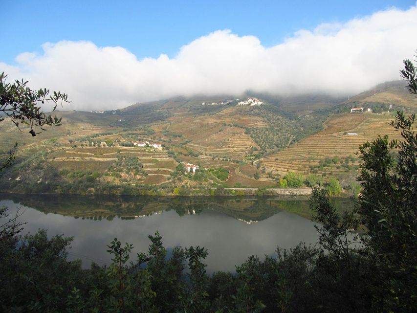 From Porto: Full-Day Douro Valley Wine Tour - Pricing Information