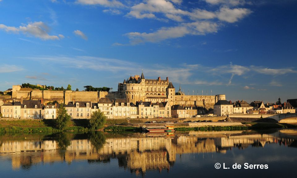 From Tours/Amboise: Chenonceau & Chambord Chateaux Day Trip - Tour Details