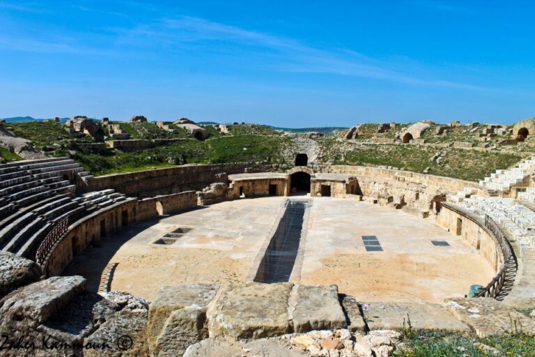 From Tunis: Oudhna, Testour, Djebba, and Dougga Day Tour