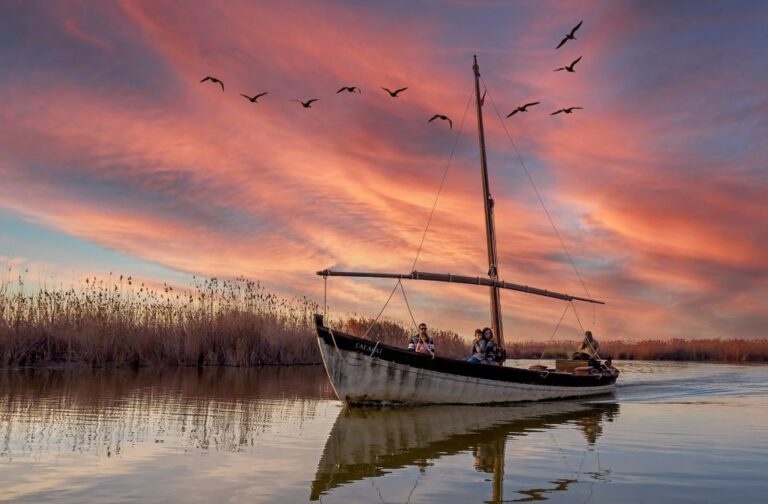 From Valencia: Cullera Old Town and Albufera Natural Park