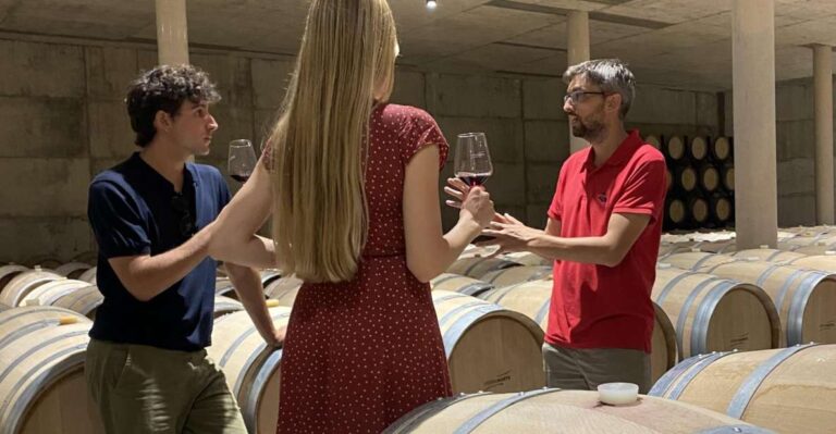 From Valencia: Requena Wine Tour With Tastings