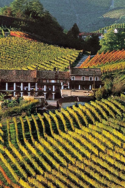 Full-Day Langhe Region Tour With Wine Tasting Experience - Tour Details