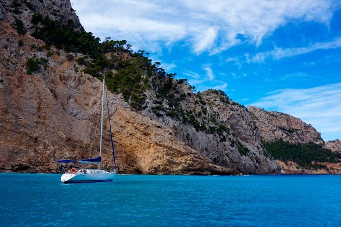 Full-Day Sailing Excursion Along the Coast