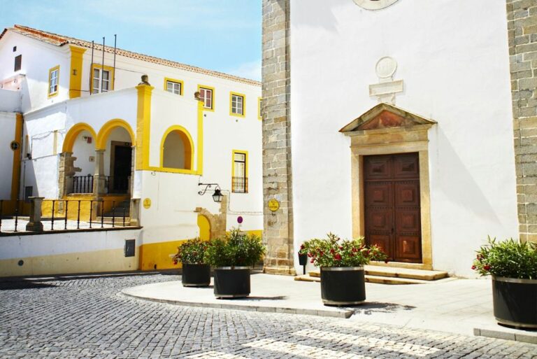 Full Day Tour in Evora