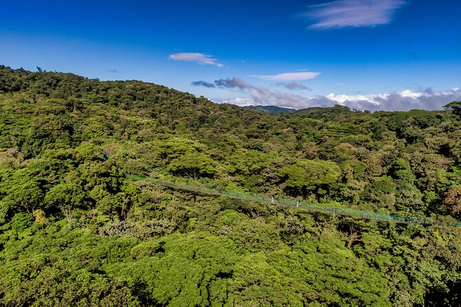 Full Monteverde Cloud Forest Experience With Ziplining. - Ziplining Adventure Details