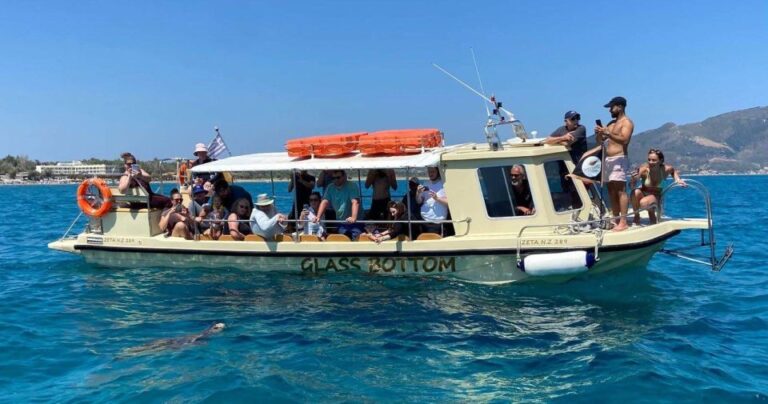 Glass Boat Cruises to Spot Turtles